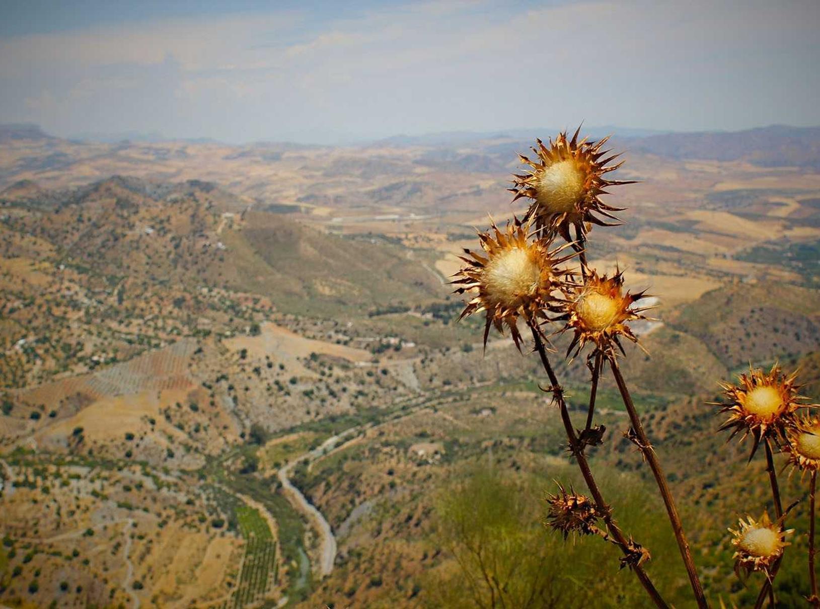 腾讯云账号代实名实名账号：临高公司注册代理