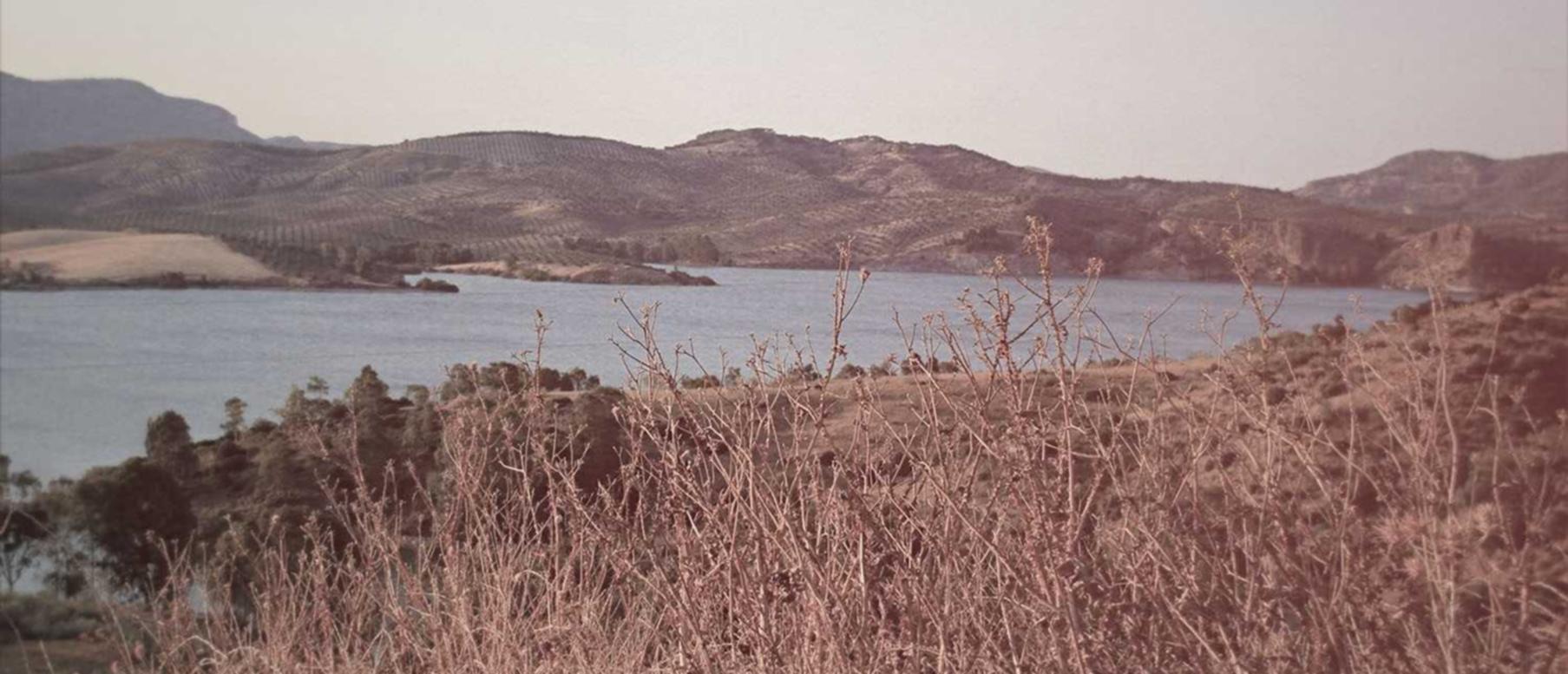 亚特兰大香草口味：官方正版漫画购买平台