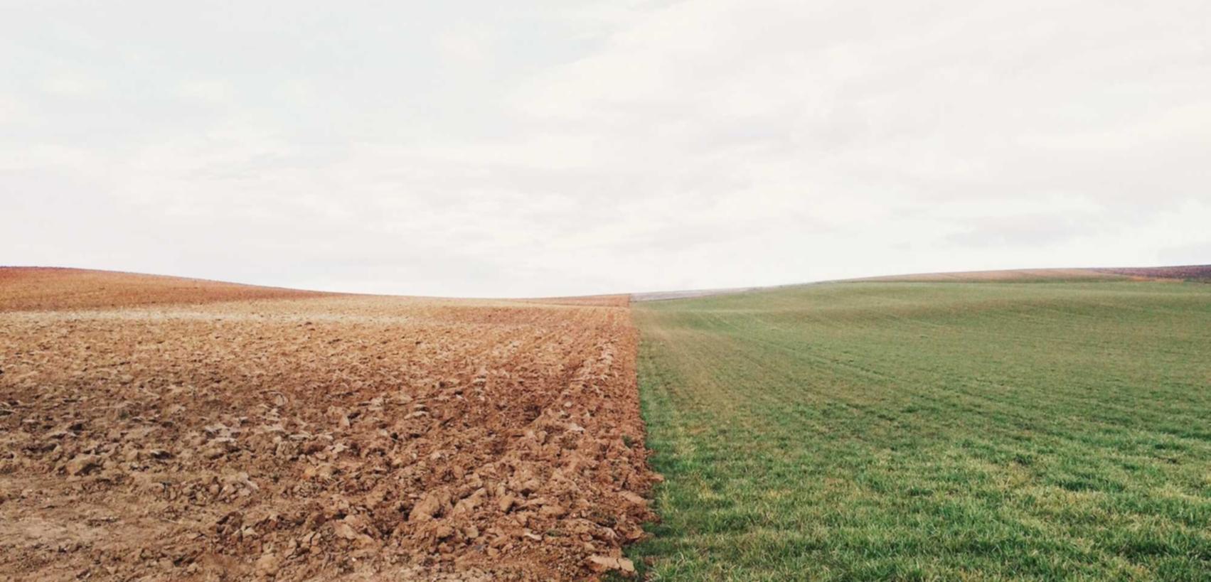 流量卡的速度和稳定性如何？