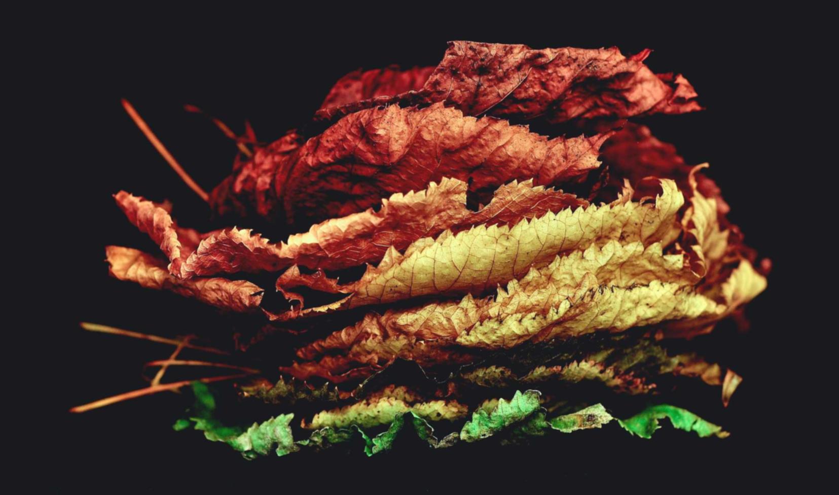 上古卷轴OL：盐城公司注册代理金额标准