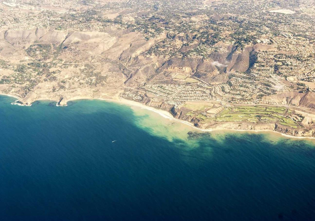 港免税白金万宝路:招标代理注册方法