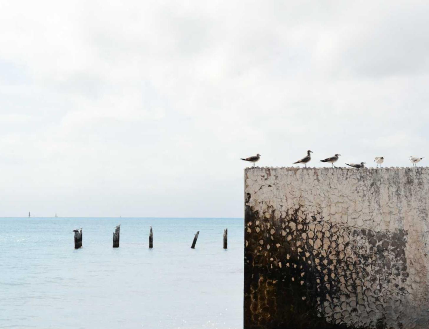 【程序搭建-送服务器】高阶版 | 带按钮-兑币机-USDT兑TRX 星耀剧场