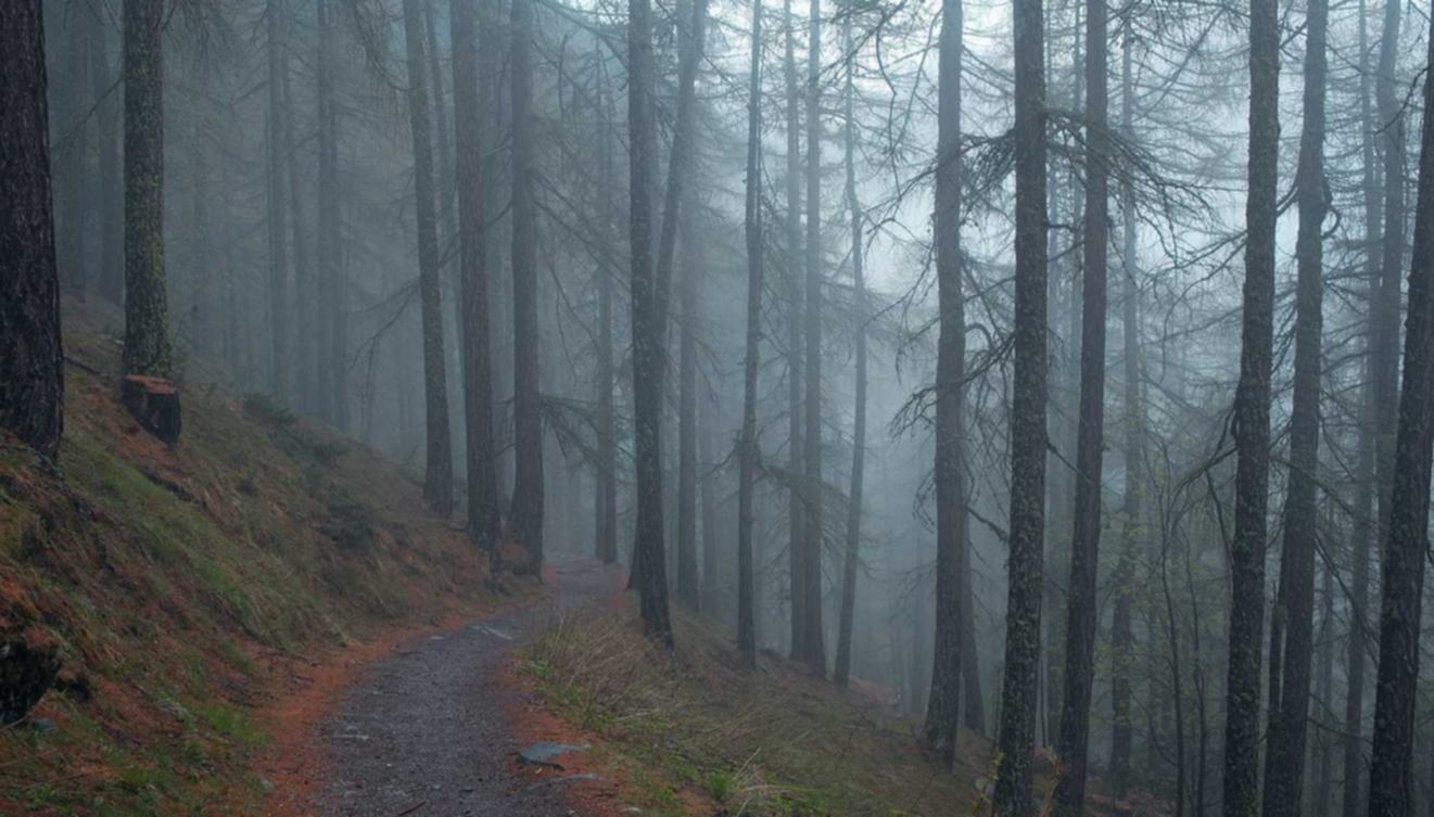 菲娱国际，注册|美港股什么平台开户