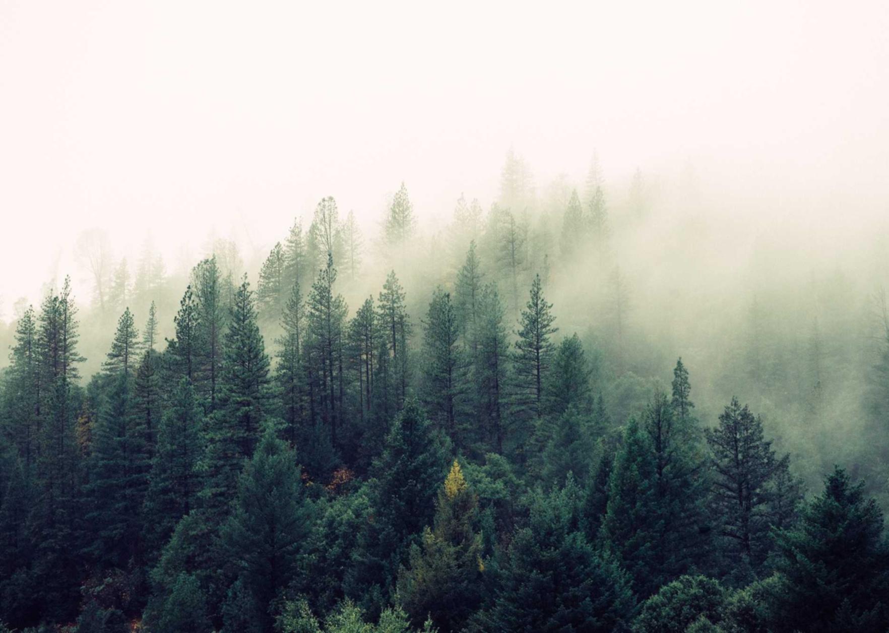 B站手机卡实名账号：实名认证，避免虚假信息传播