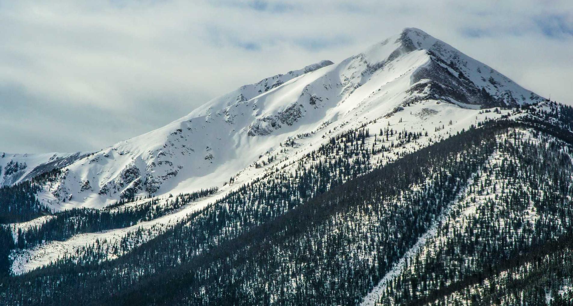 摩臣5娱乐，注册|eva模型购买平台