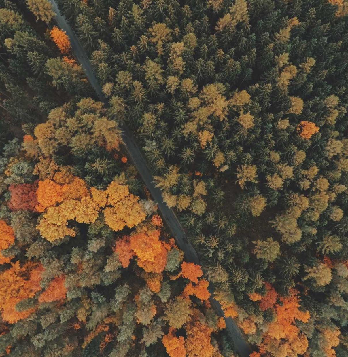 详情下载教程管家手机app