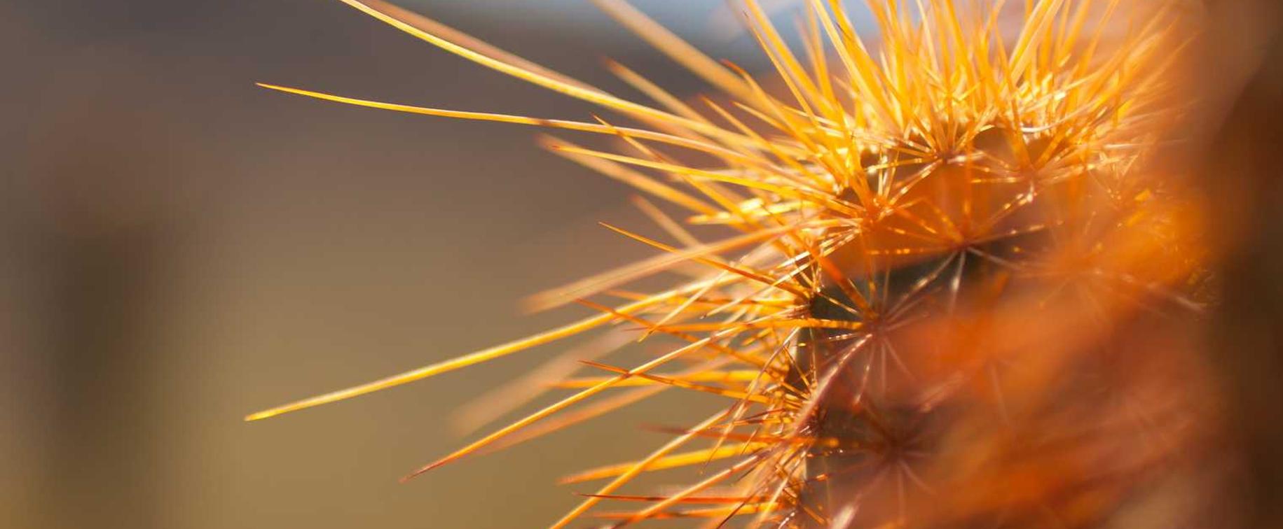 华信娱乐，注册|阿里流量购买平台