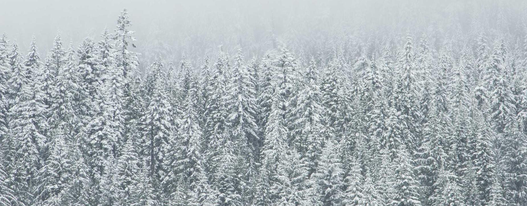 实名QQ号买卖:众合在线app详情下载教程