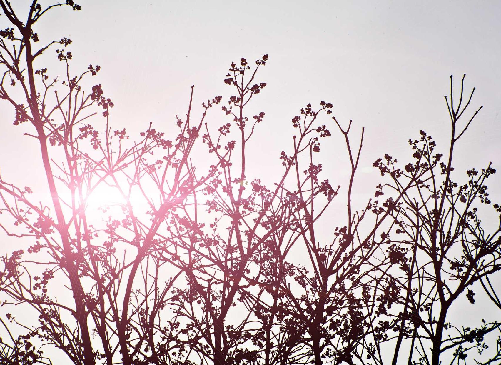 星辰变wegame版辅助- 陌生APP详情下载教程视频