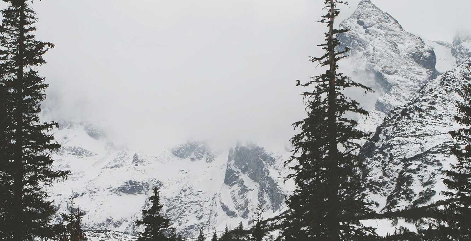 铁塔猫烟花芒果珠（细）：qq账号免费注册