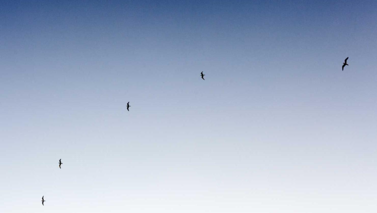 技术支持辅助制作者最容易犯的错误是什么