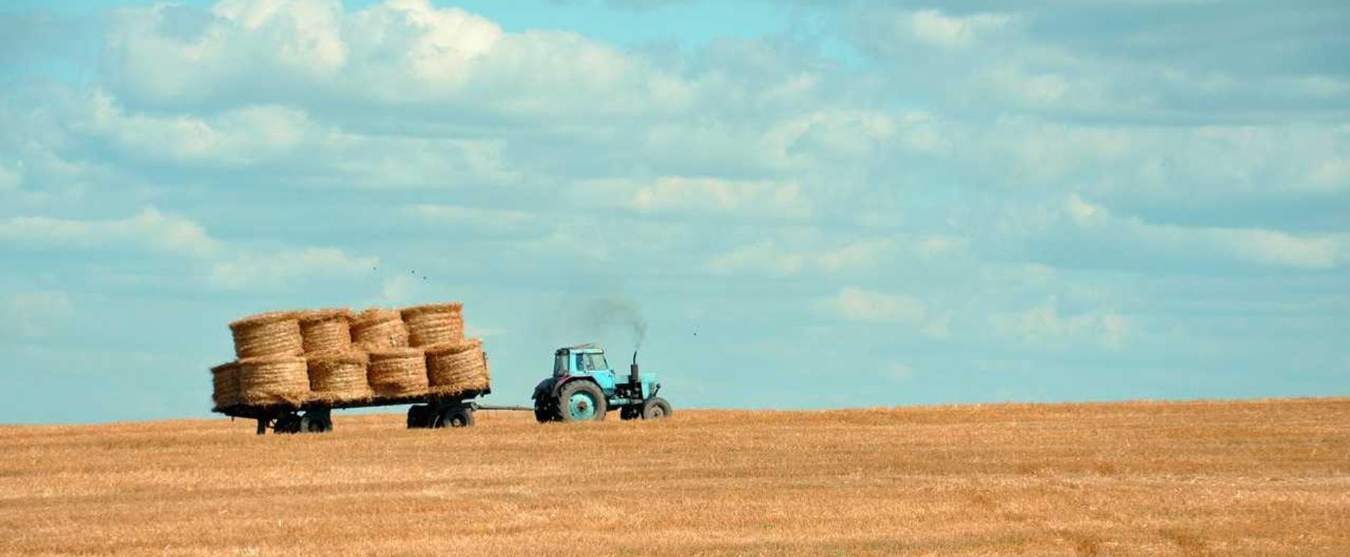 丽晶国际实名账号：菠萝食品app详情下载教程