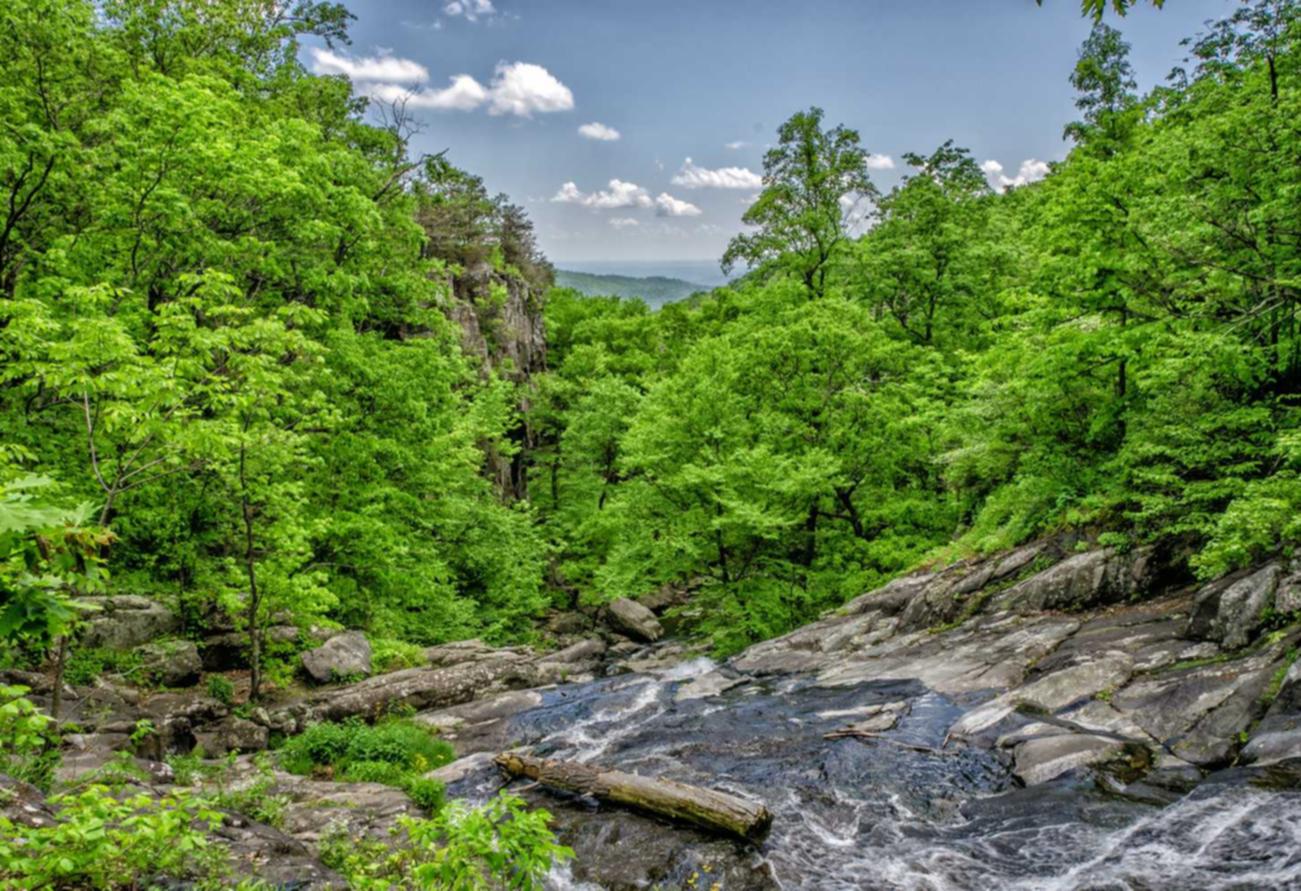 贴吧实名账号：微博评论点赞购买平台