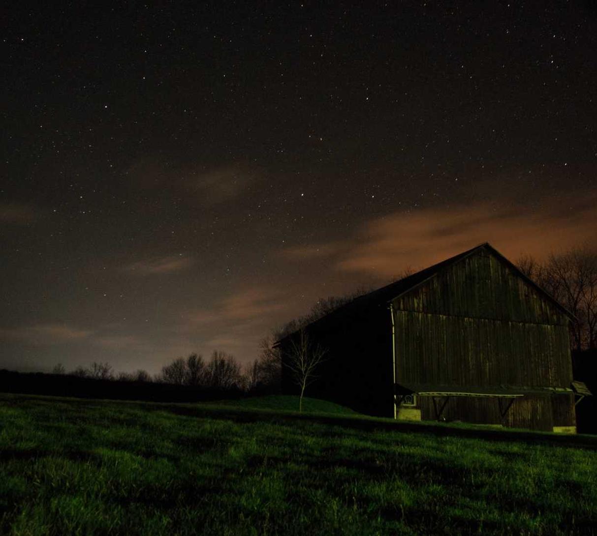 香烟保留了人类快乐的光辉与短暂