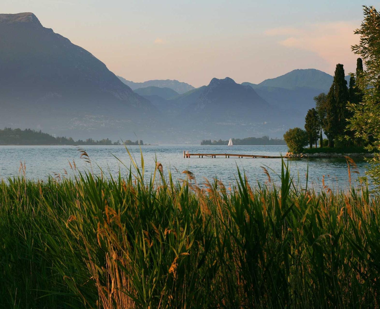 蓝MU摇摇薄荷爆珠：代理注册公司头像