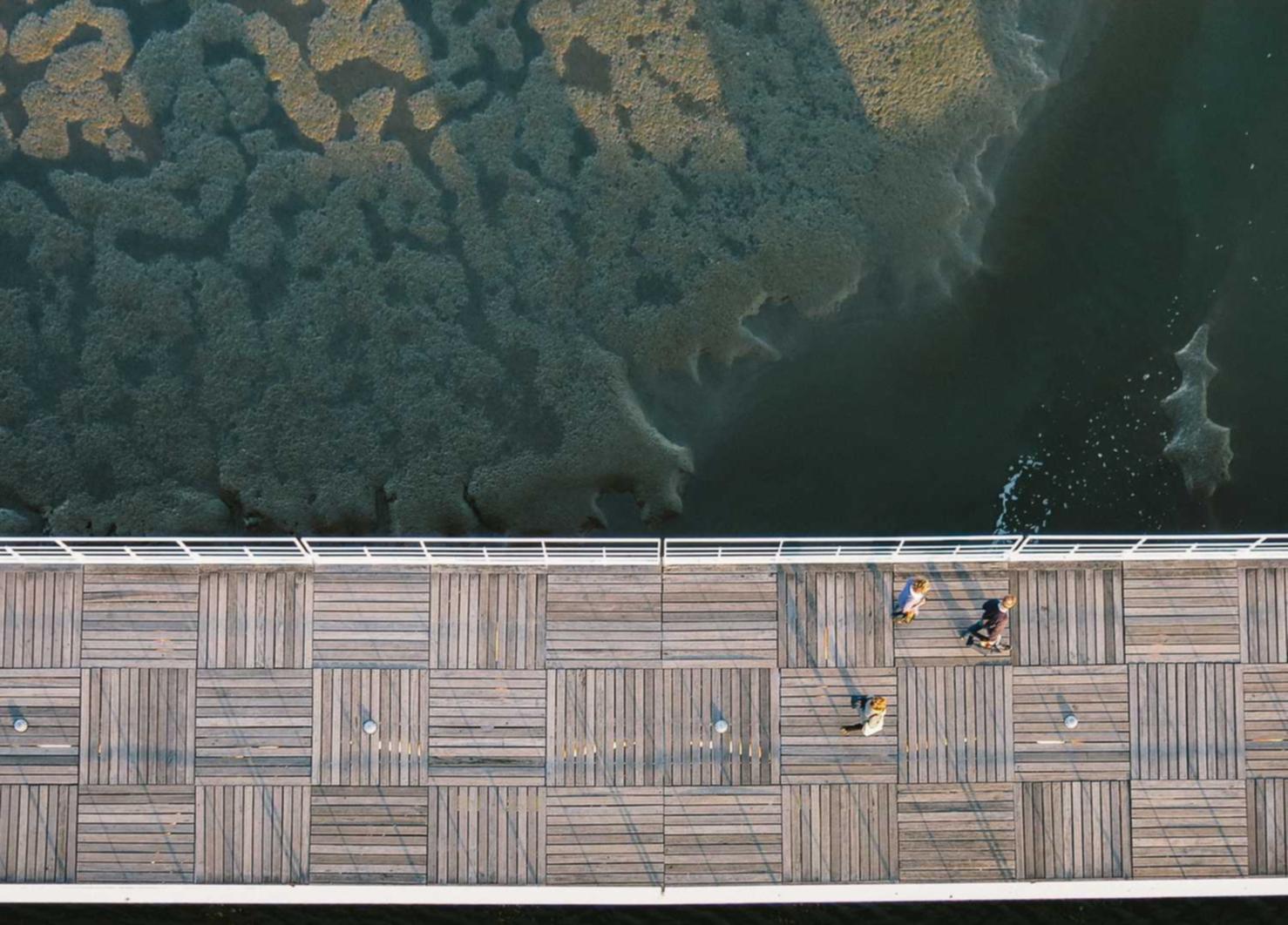 百度手机卡实名账号:北京钢带平台购买