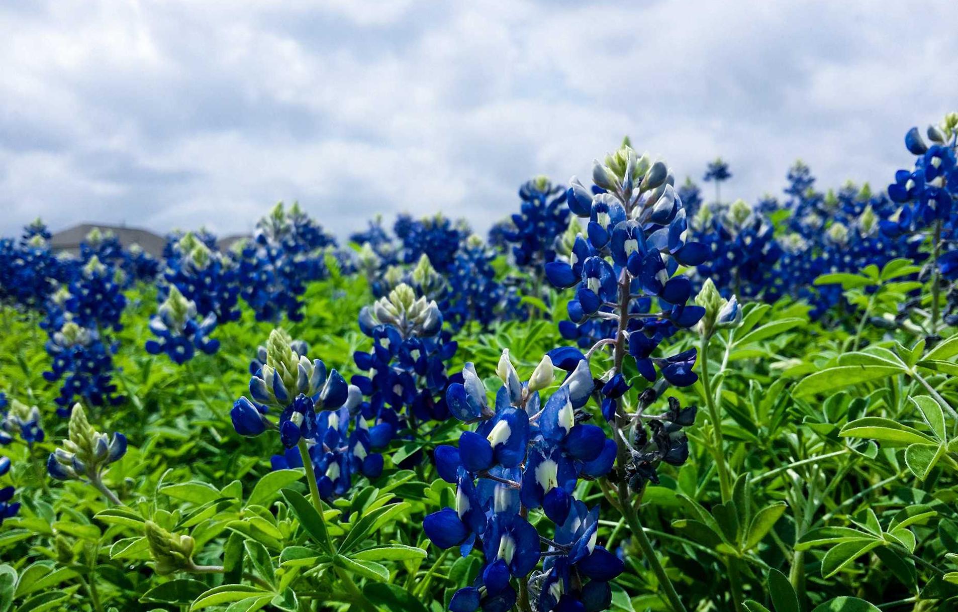 全民优打实名账号：造梦西游3高手账号注册