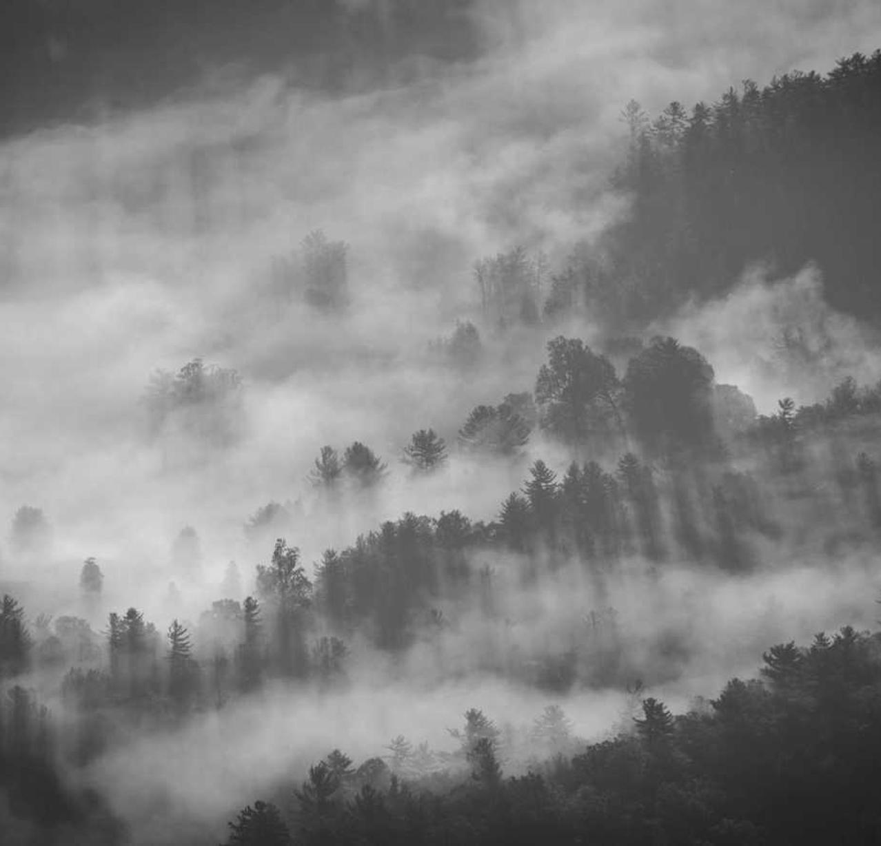 星辉娱乐，注册|泰服账号注册