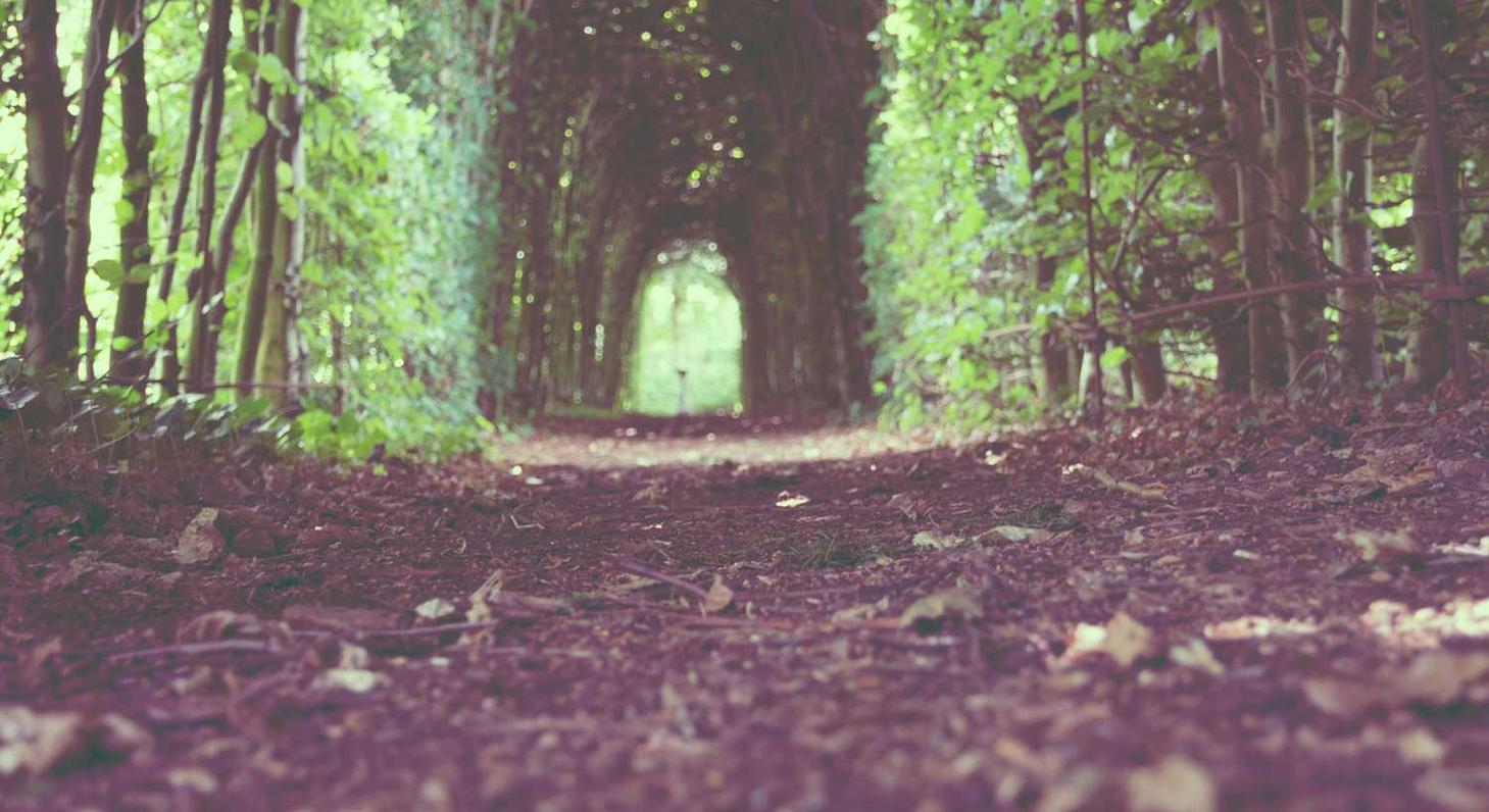 不良人3：大众房产app详情下载教程