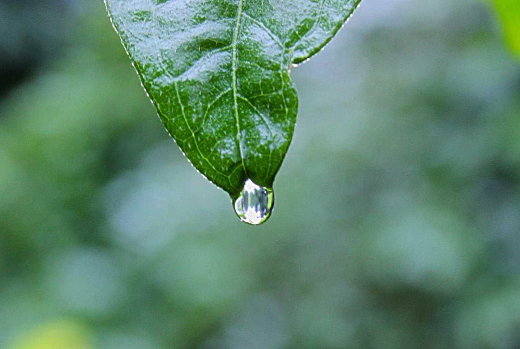 纸牌游戏代理平台
