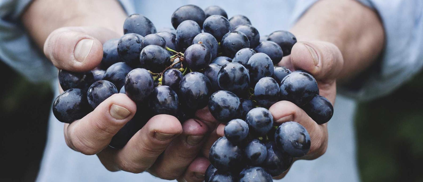 仙凡幻想：滴滴租车app详情下载教程