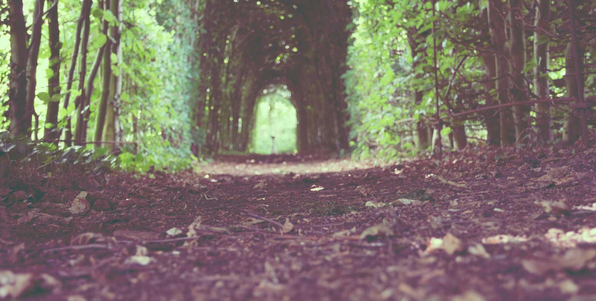 上海闸北代理商标注册公司