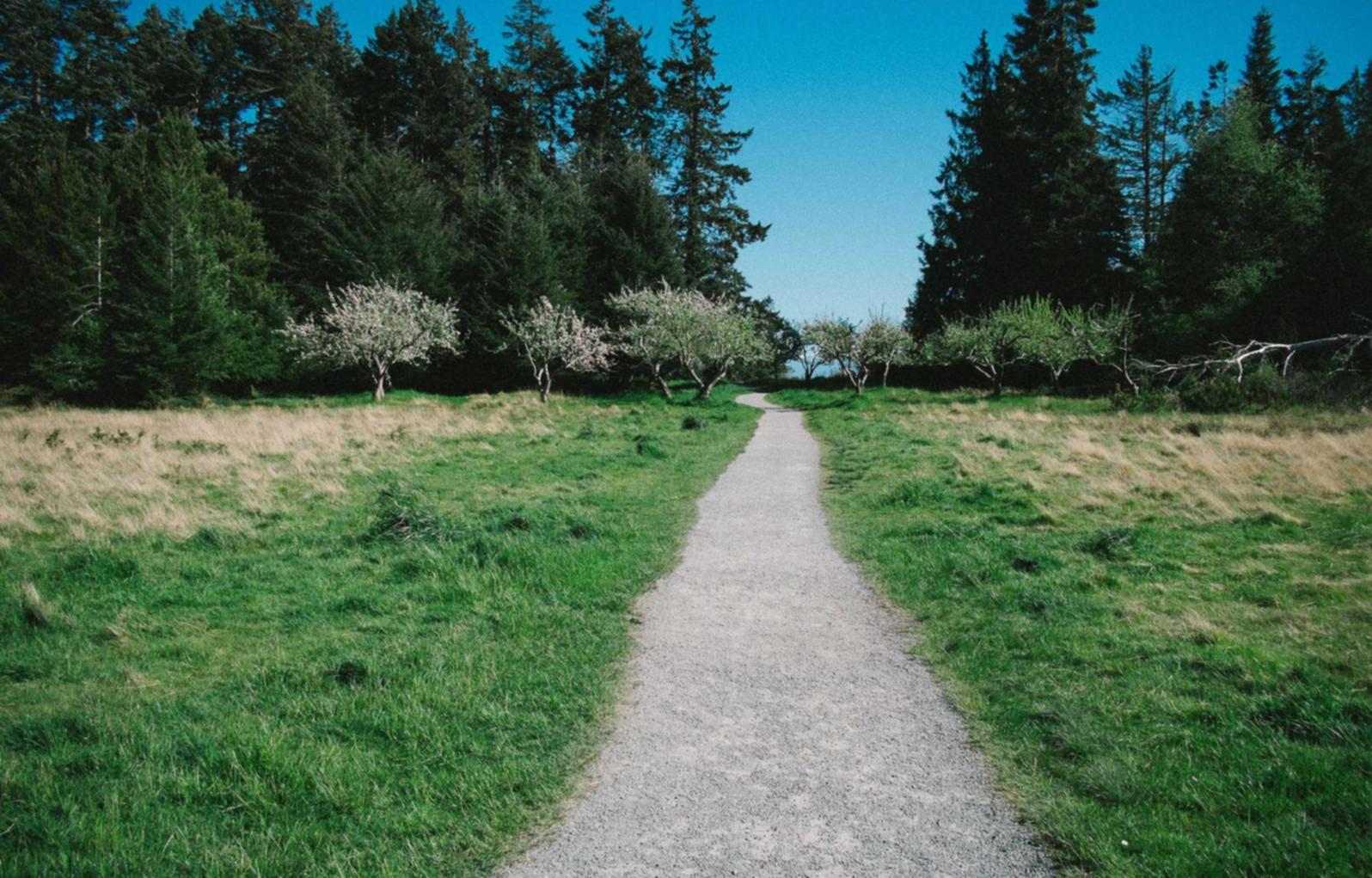 出口荷花（软）：信息流投放平台代理加盟