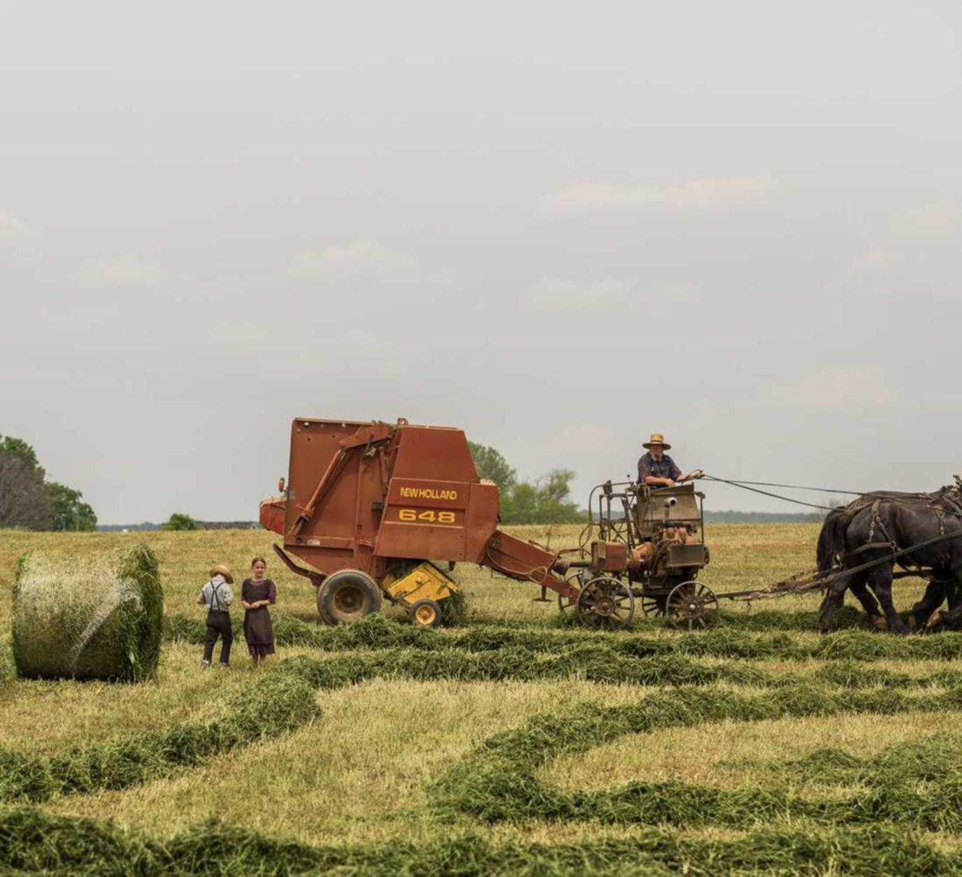 DDOS在线攻击平台|uv代理平台