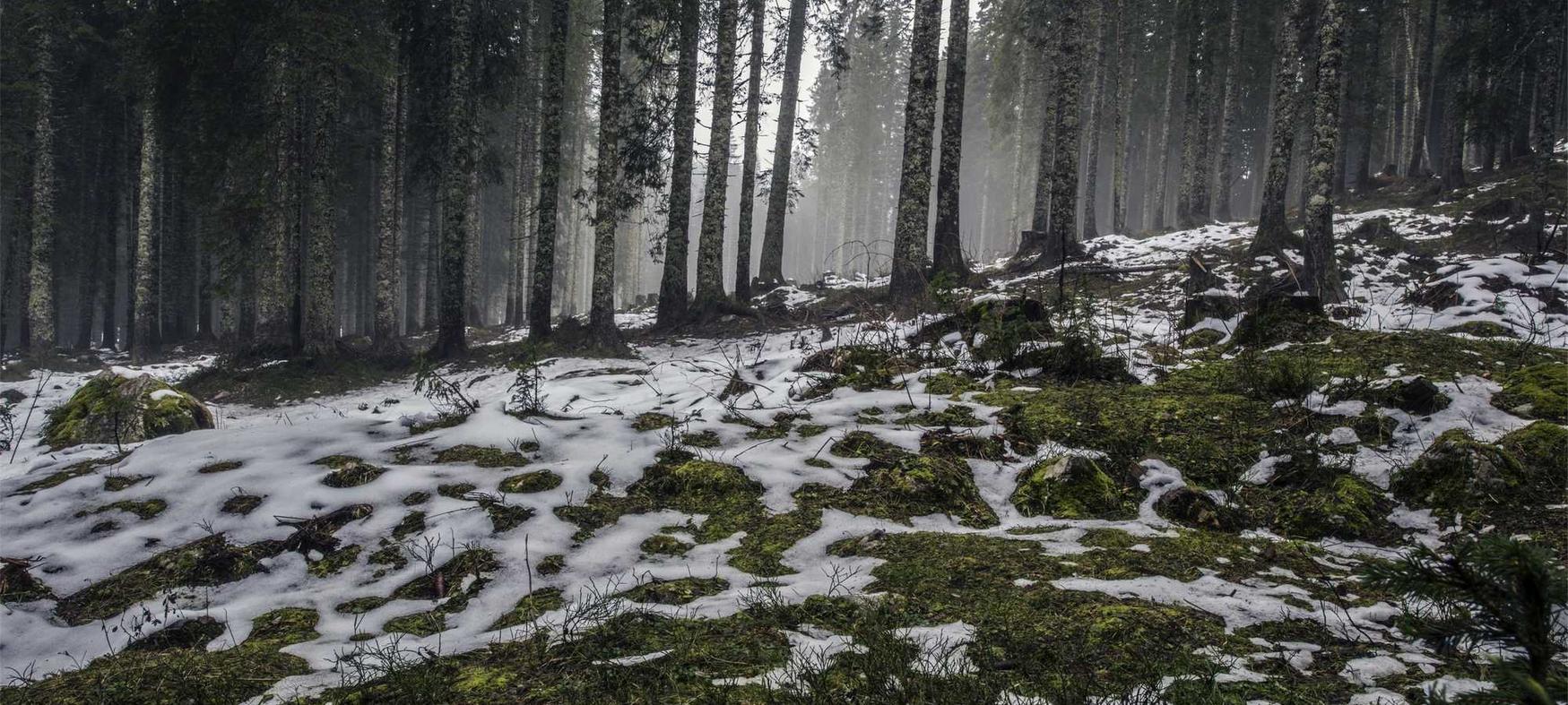 采集 兰州app详情下载教程