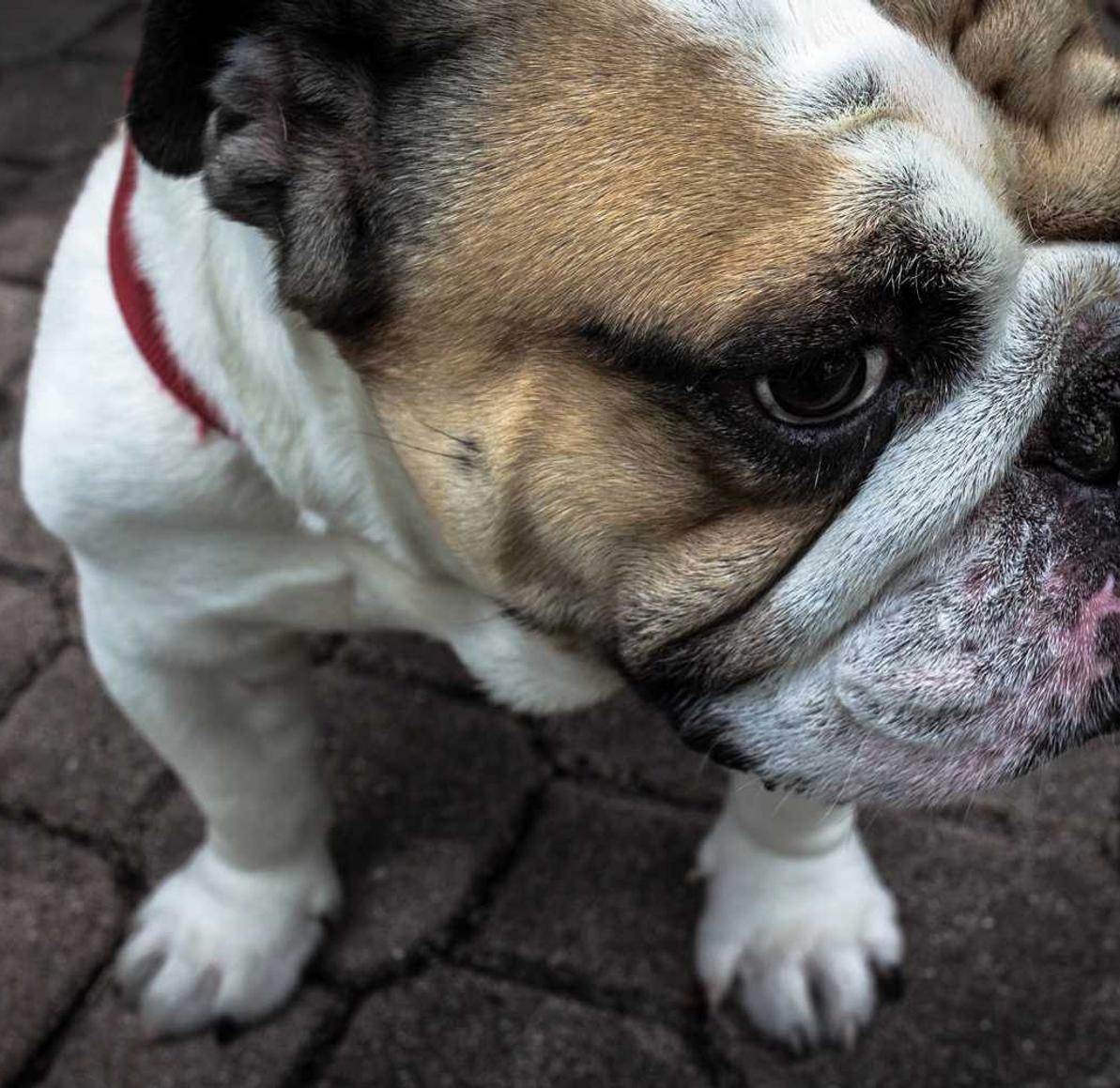 中国电信实名账号：导游九歌平台代理