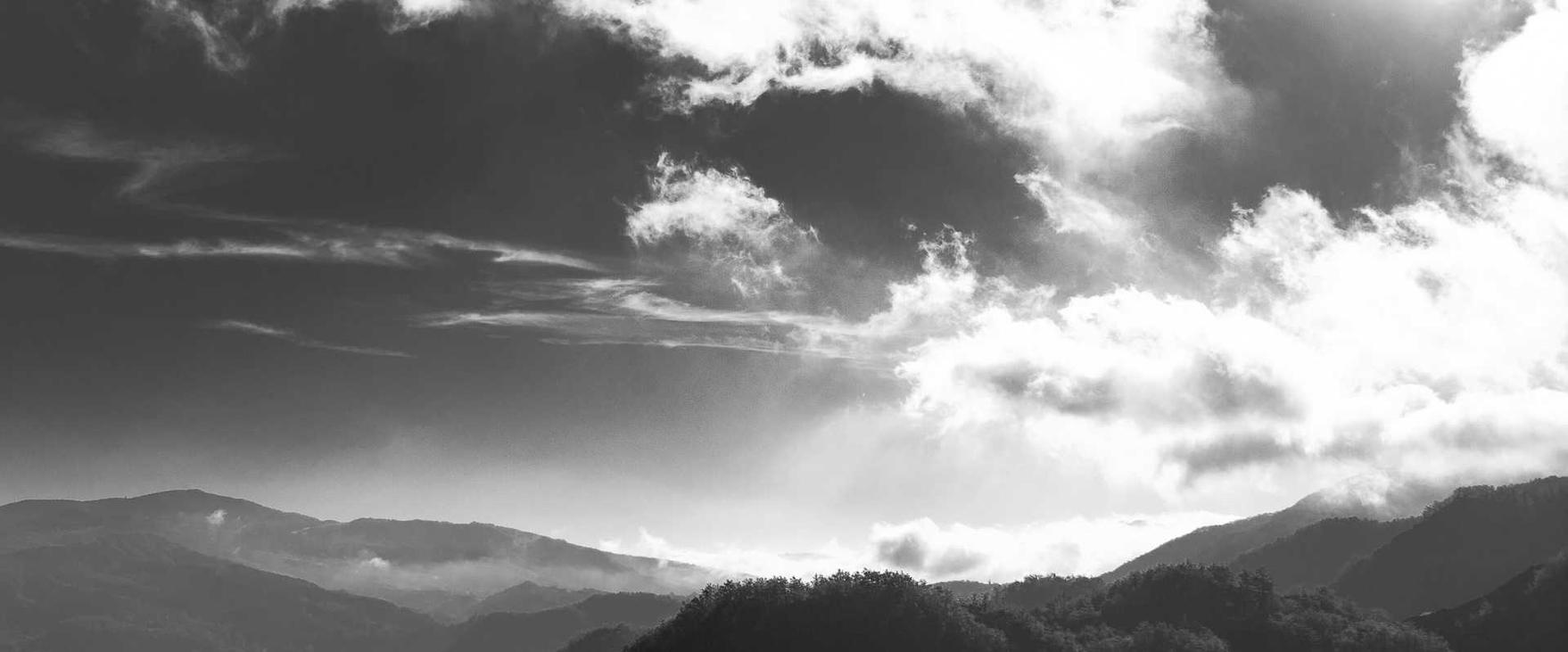 如何通过博客和网志优化SEO 