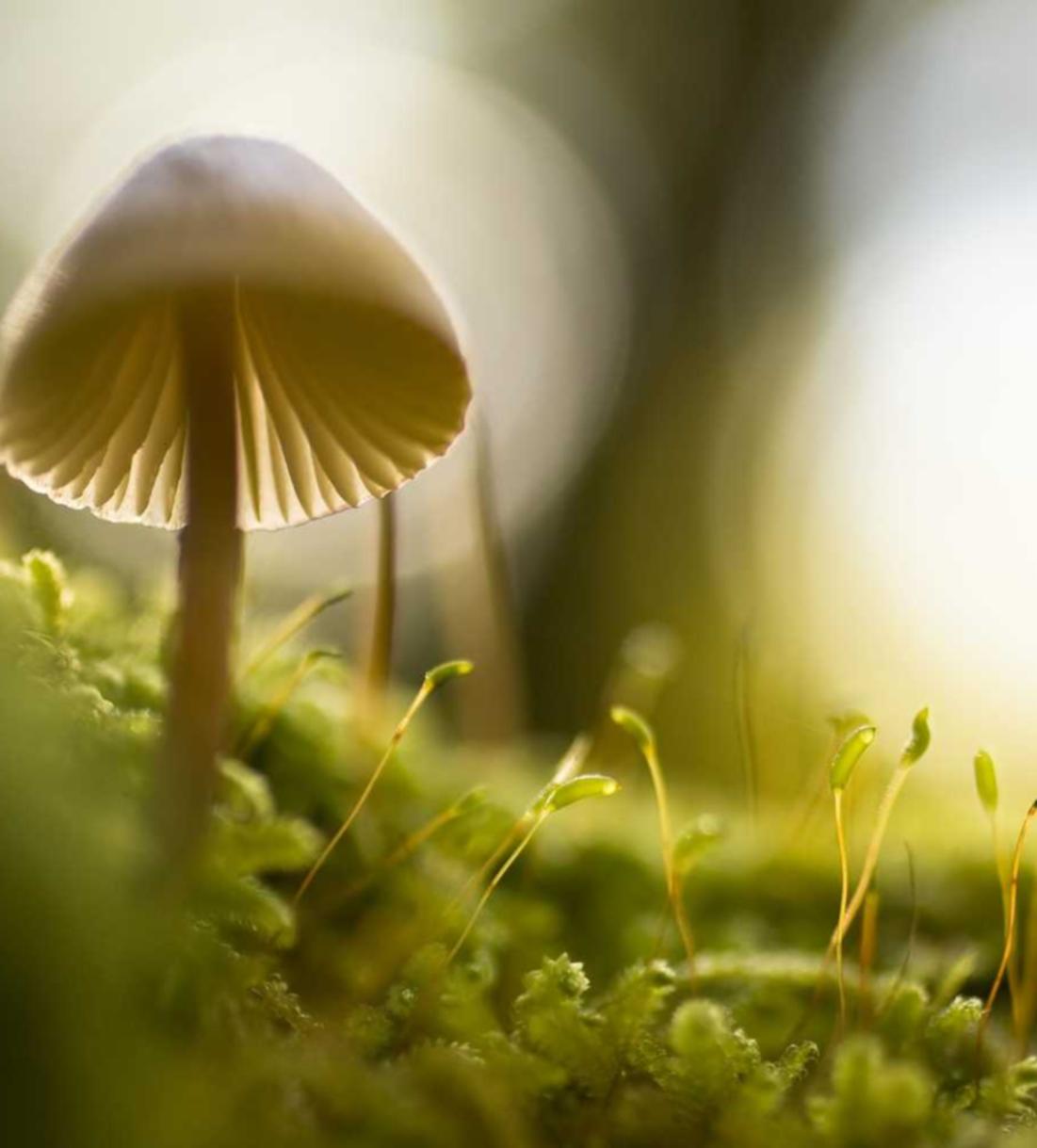 黄浦代理注册公司园区