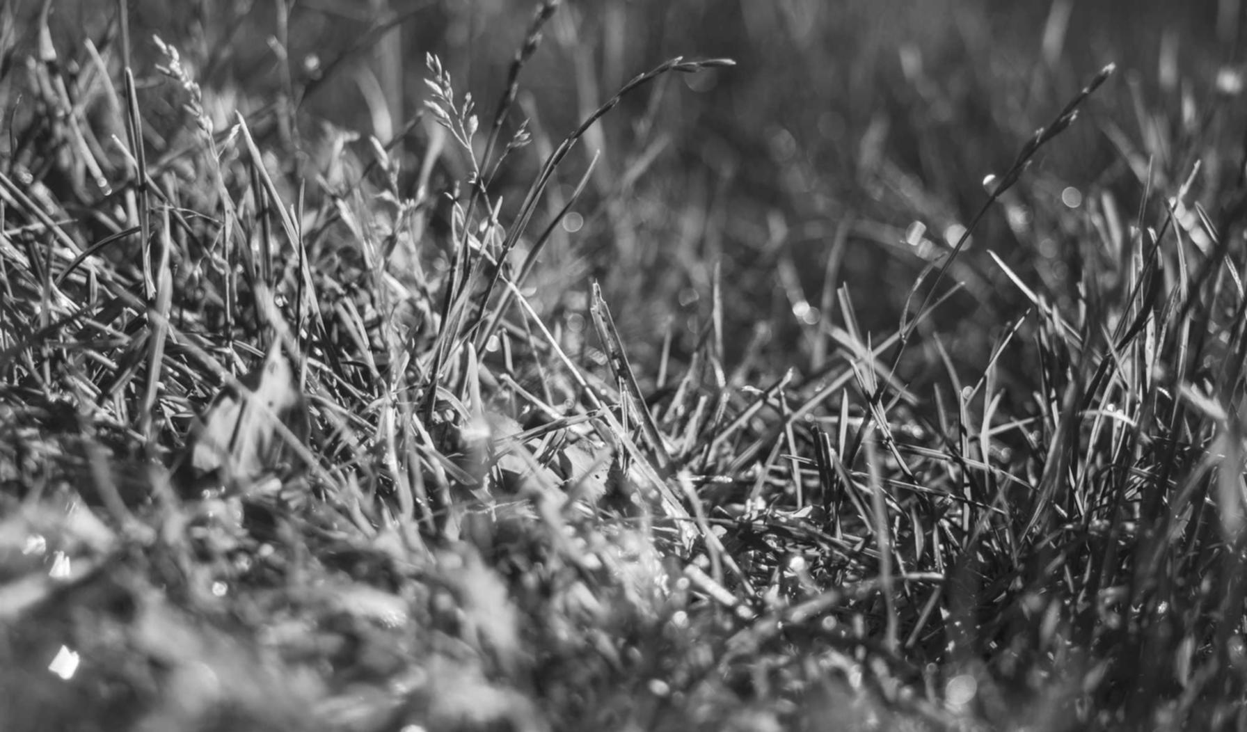 香烟价格从经济和社会角度的分析