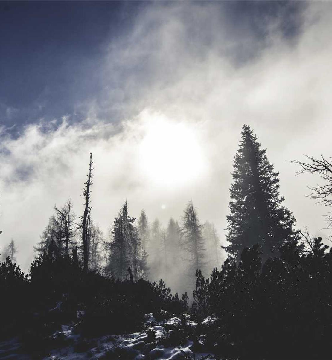 解读吸烟对健康的影响——从各个方面来分析
