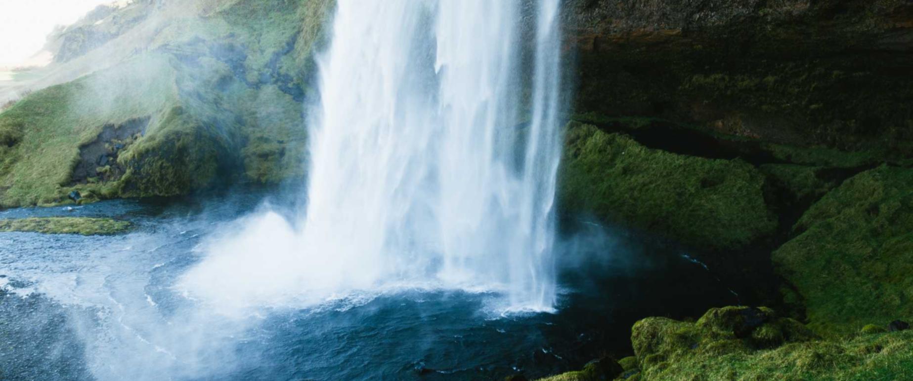 如何使用页面速度来优化SEO