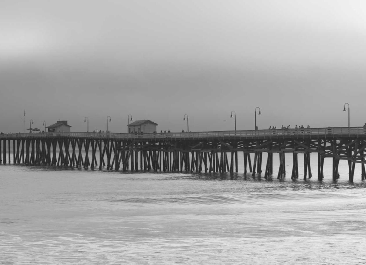 贝纳查比华士 Brevas（12支）：文成代理记账代理平台