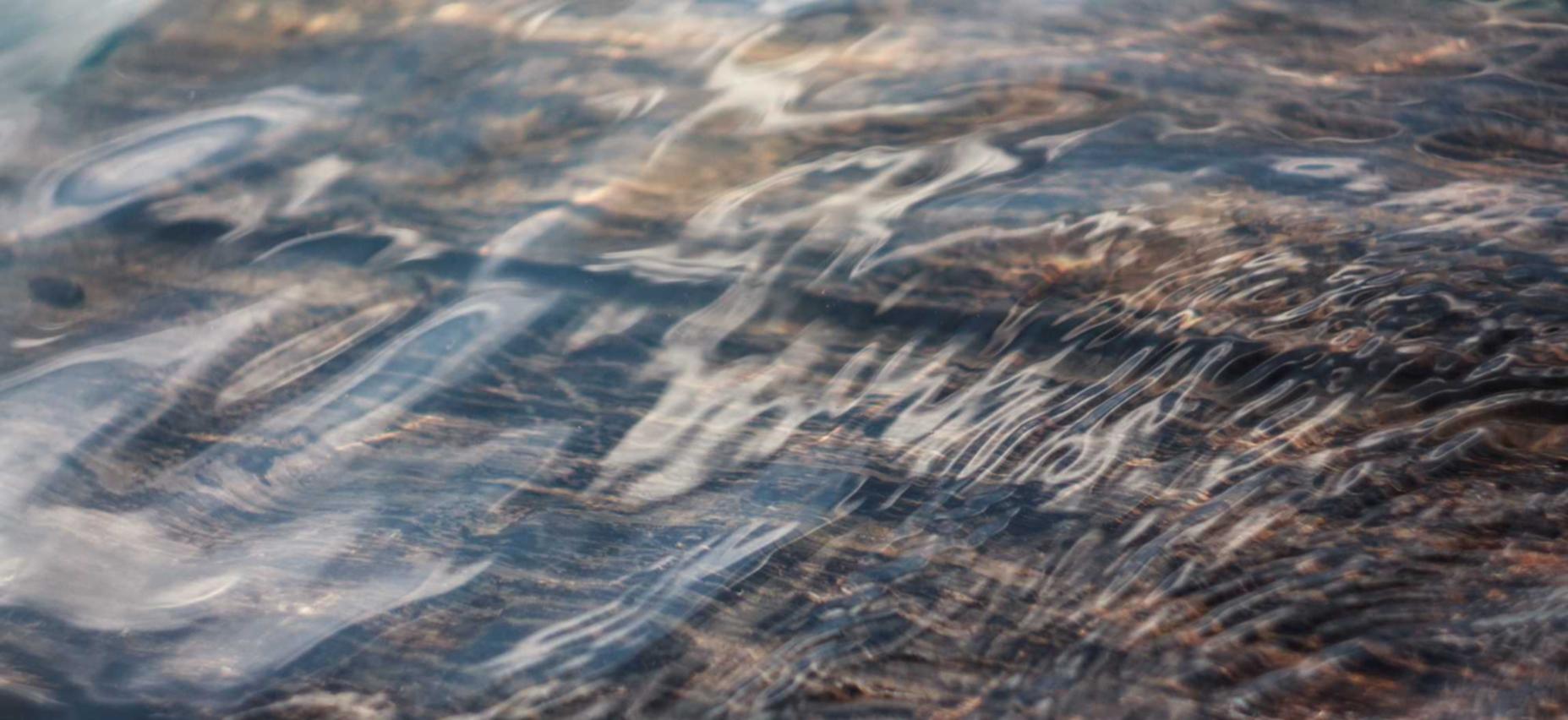 红楼社区注册账号就能看吗