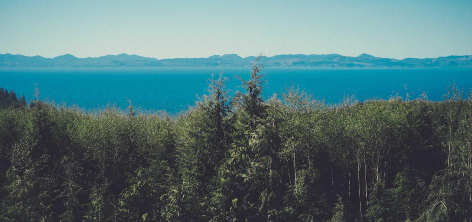 芝麻开门实名账号：美联物业APP详情下载教程