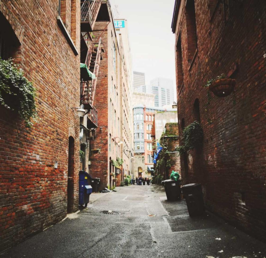 DDOS压力测试网页端|详情下载教程草莓App站长