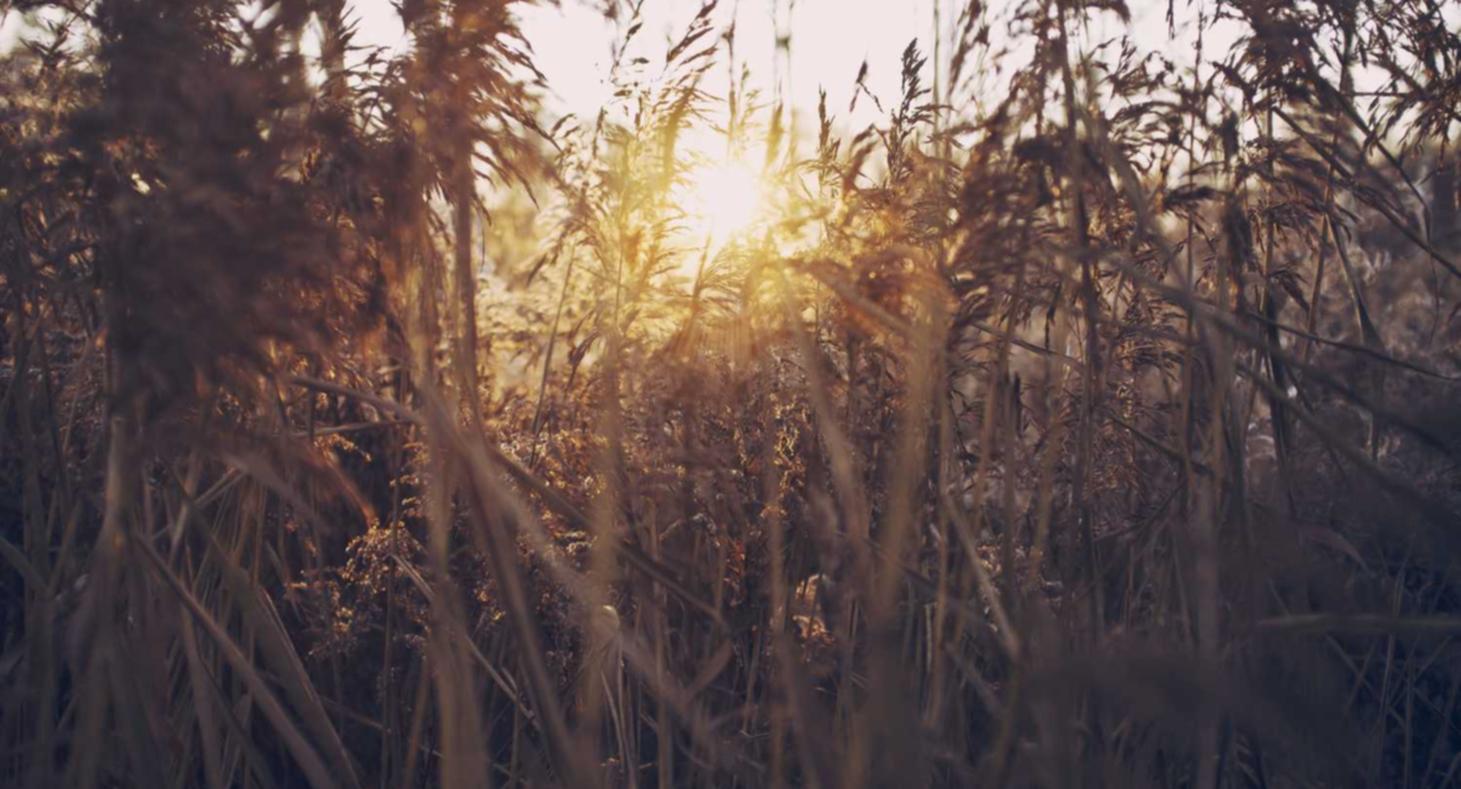战争雷霆（国际服）：车贷有哪些代理平台