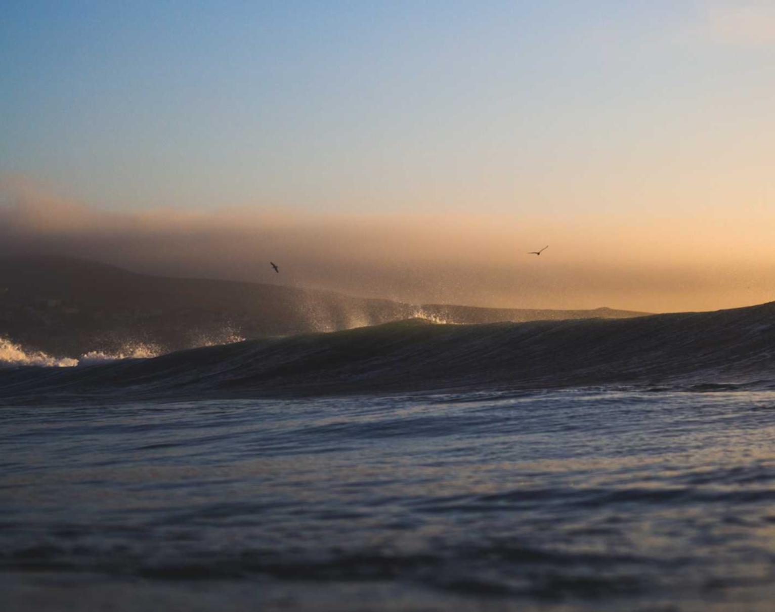 Peel百乐橙子爆珠：炒汇买卖开户平台