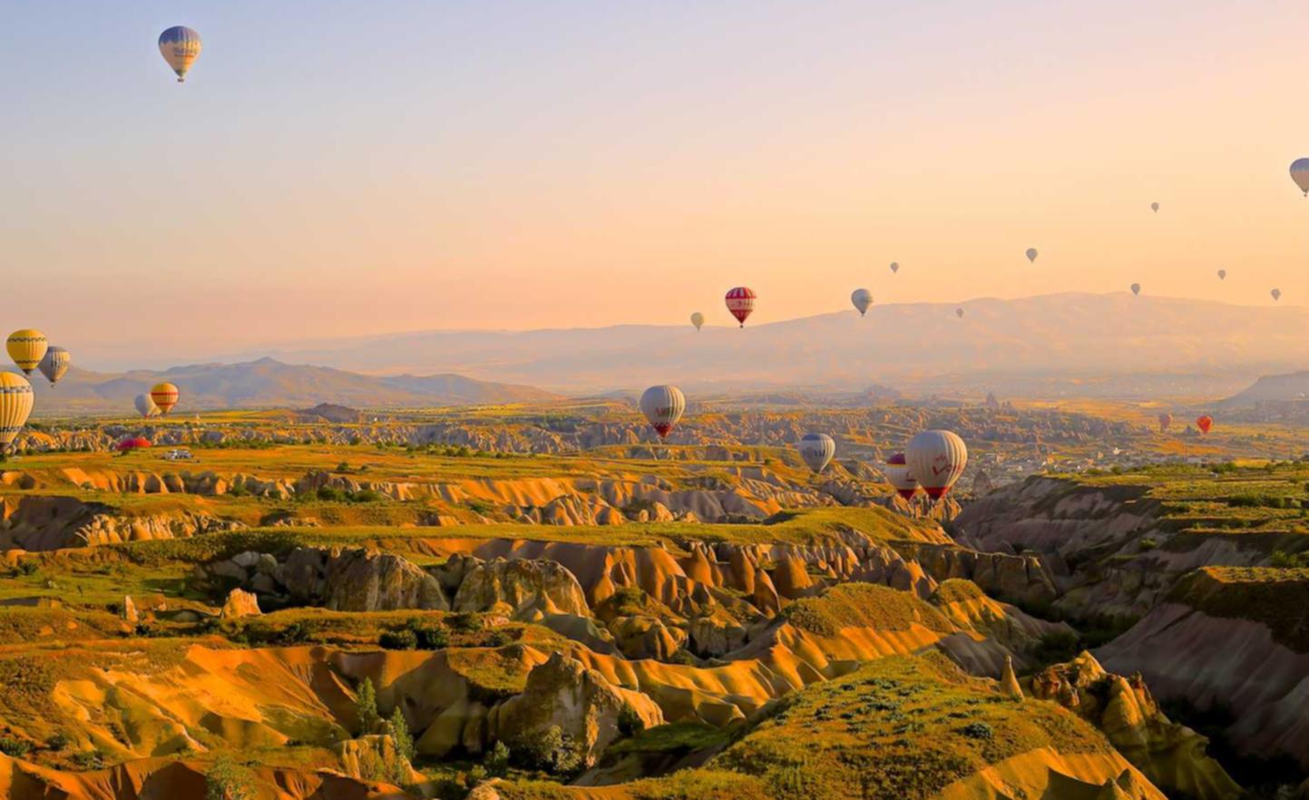 DDOS网页端|秀英代理记账注册