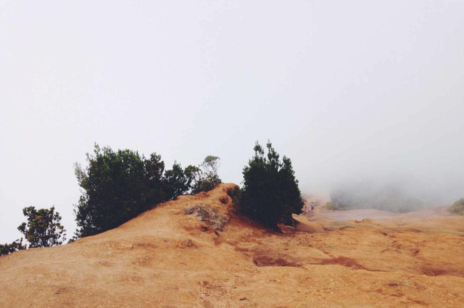 湖北商标注册代理价格