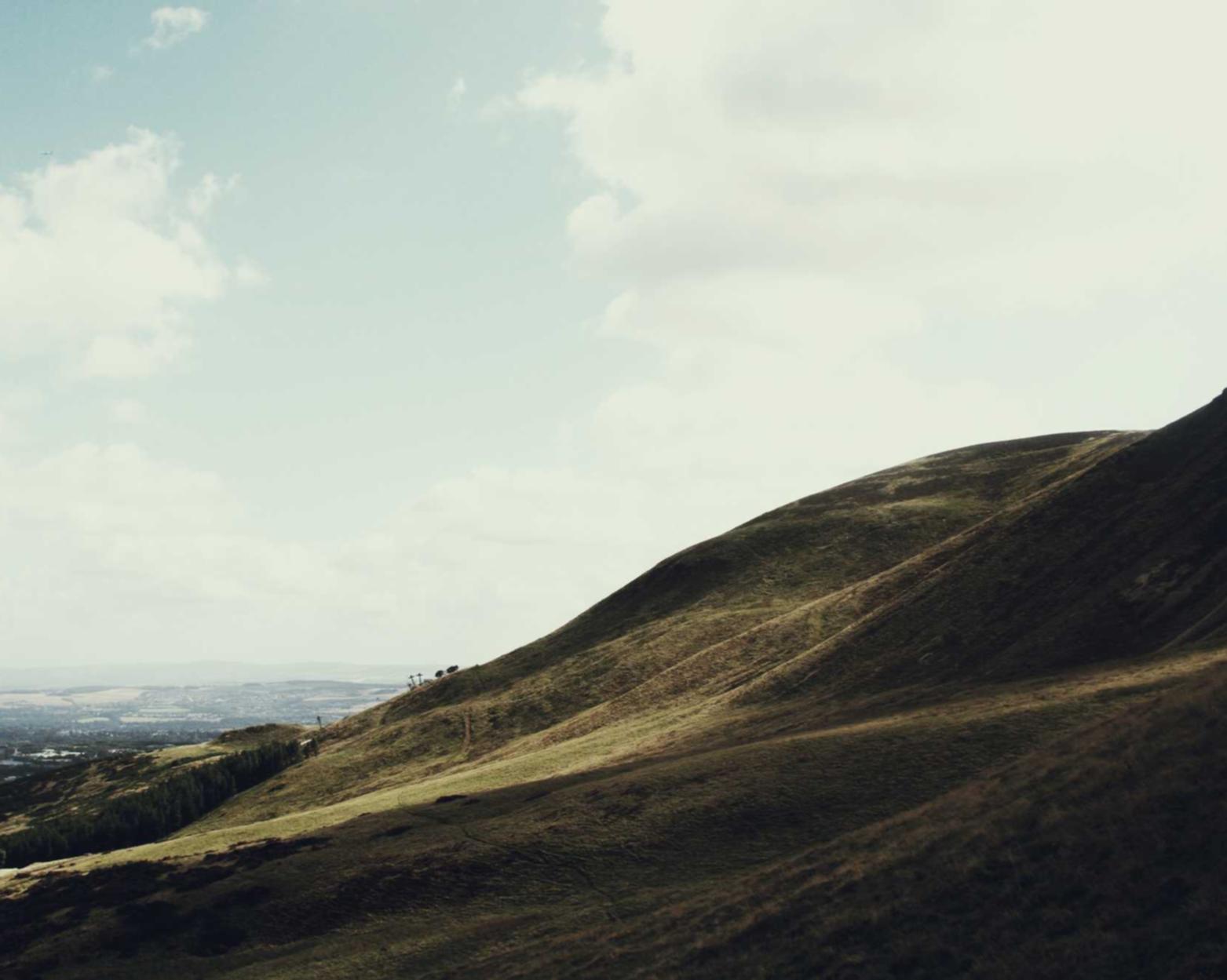 黄标七星:炒股网上开户平台