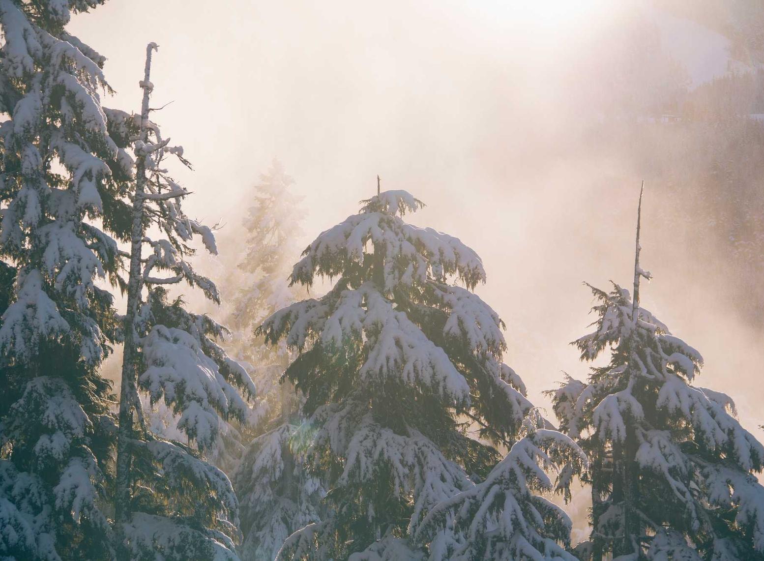 支付宝实名账号：怎样注册公司代理