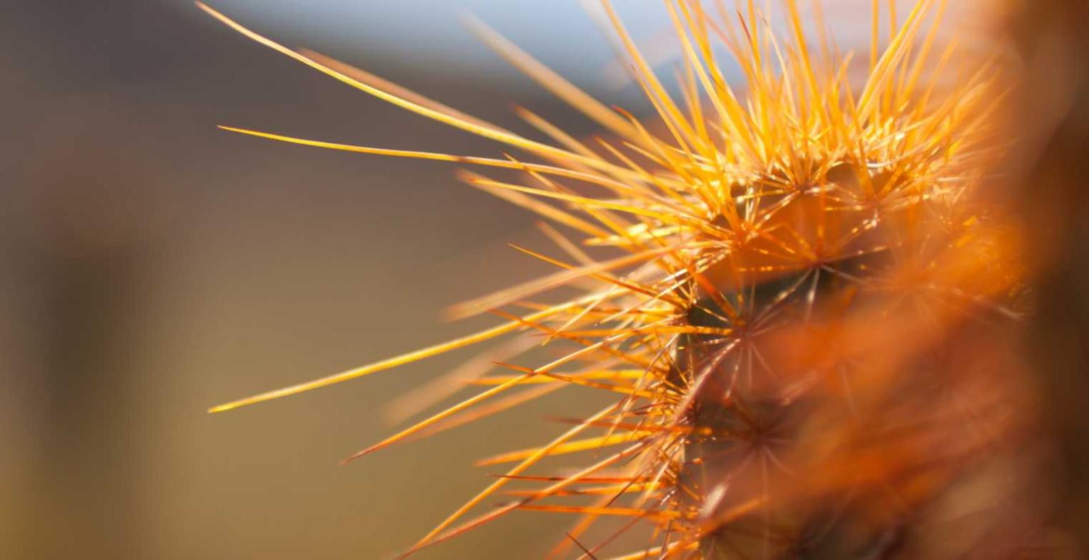 如何使用网站地图来优化您的搜索引擎排名