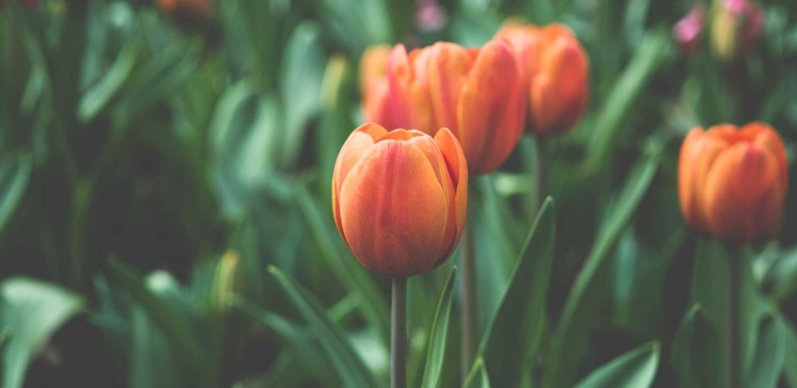 分享通信实名账号：实名账号对于网络公益的支持