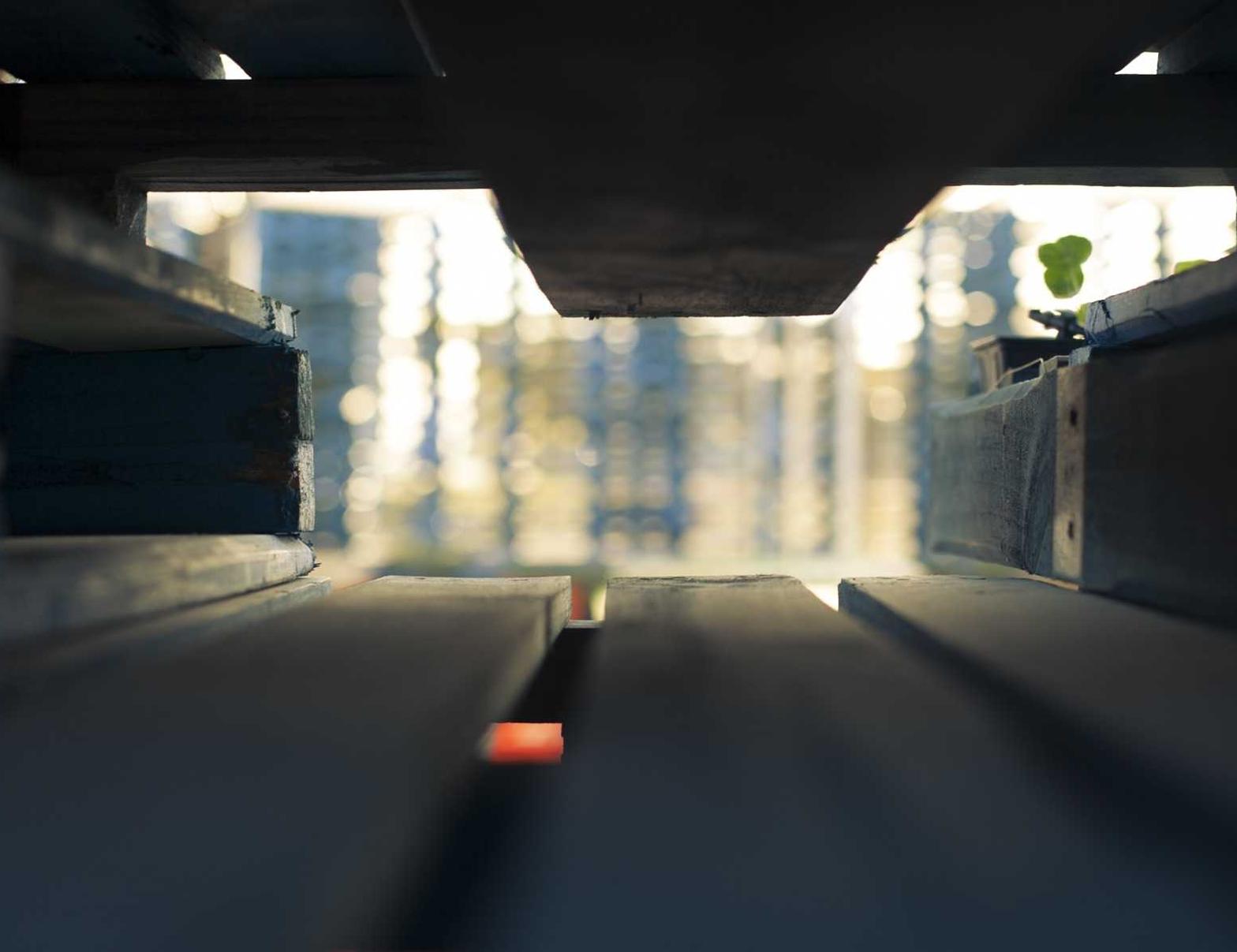 技术支持辅助会带来哪些道德问题?