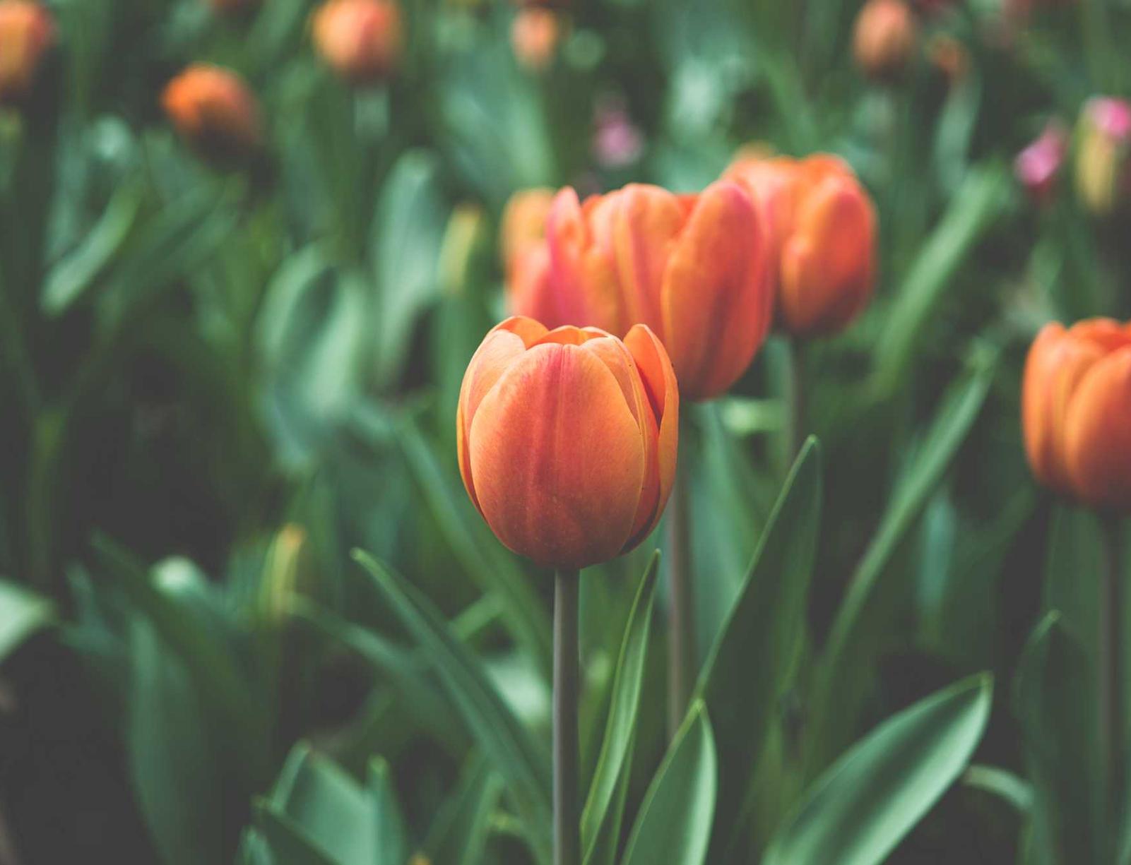 在线DDOS平台攻击|货布购买平台