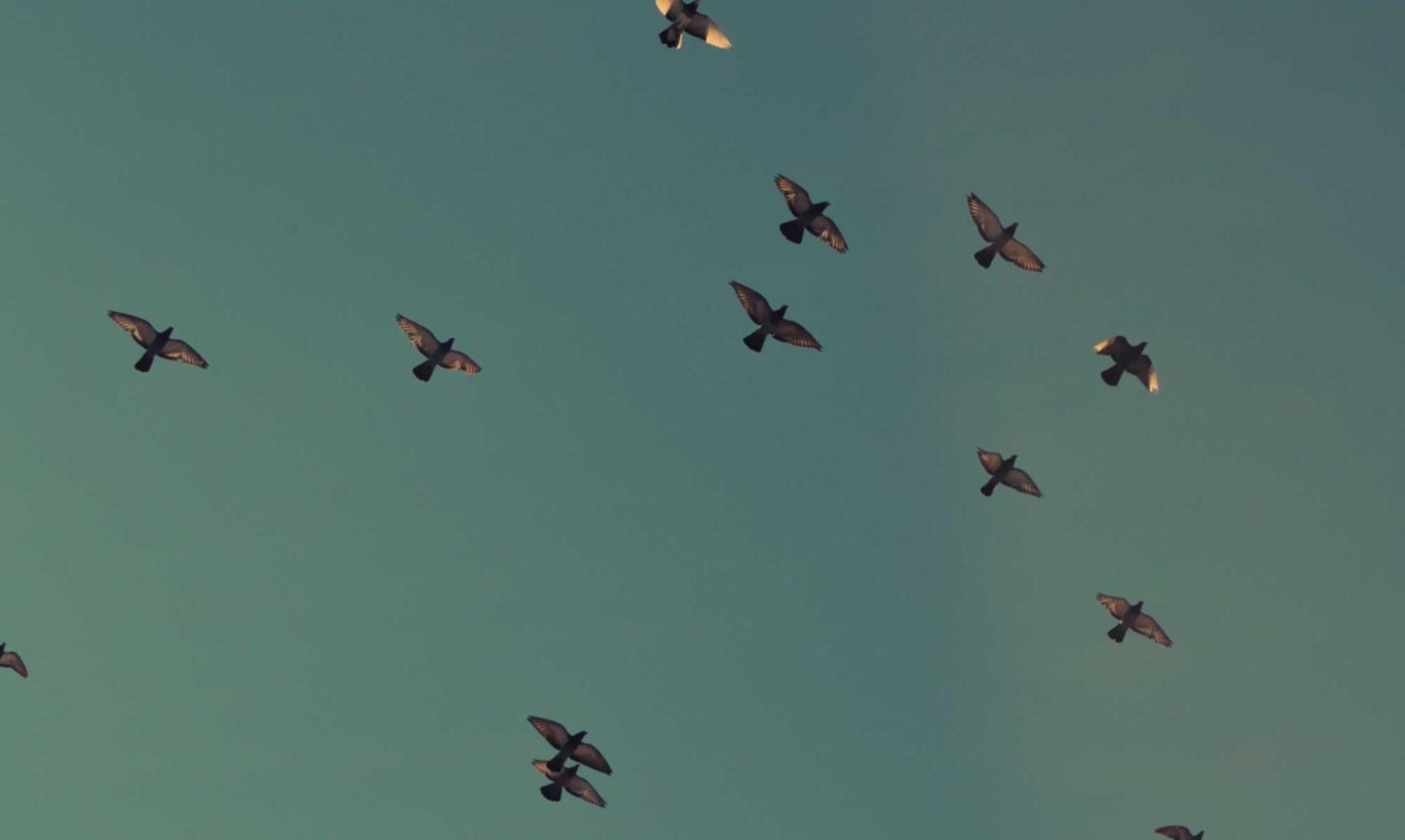 如何区分合法的游戏技术支持和不良的游戏技术支持？ 